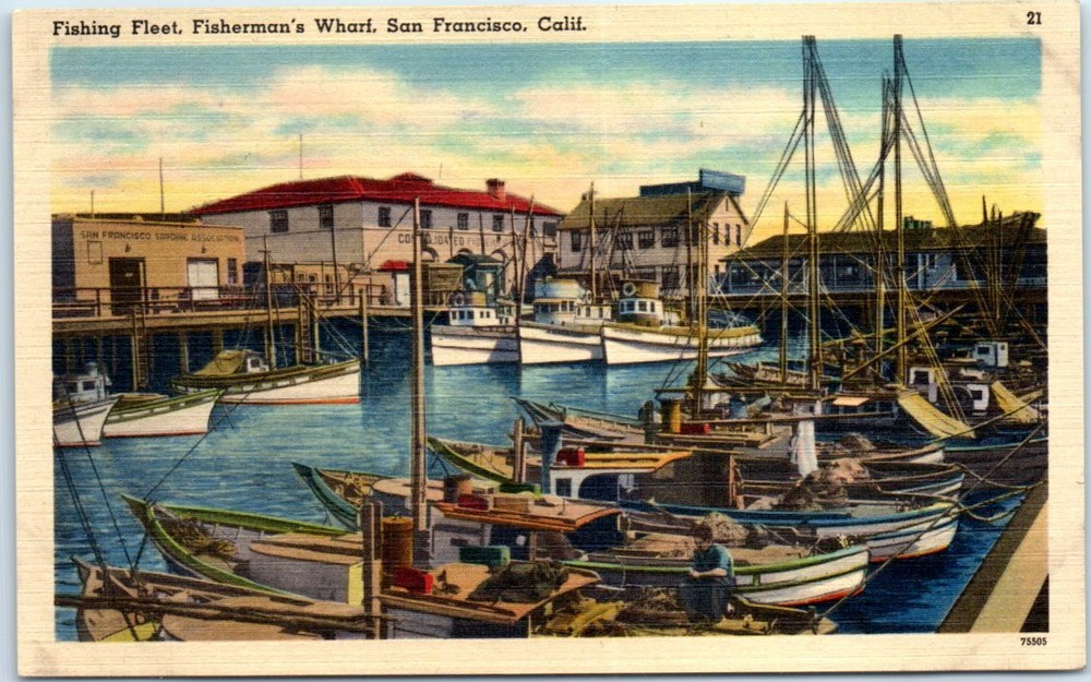 Postcard - Fishing Fleet, Fisherman's Wharf, San Francisco, California, USA