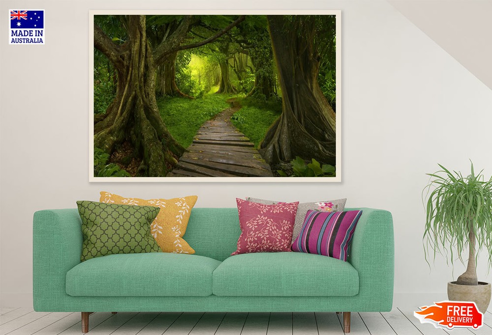 (Laminated) Wooden Path In Deep Forest Photograph 91x61cm