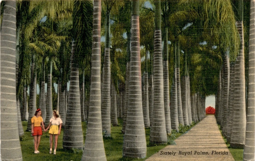 Royal Palms, Florida, F. E. C. NEWS CO., WEST PALM BEACH Postcard