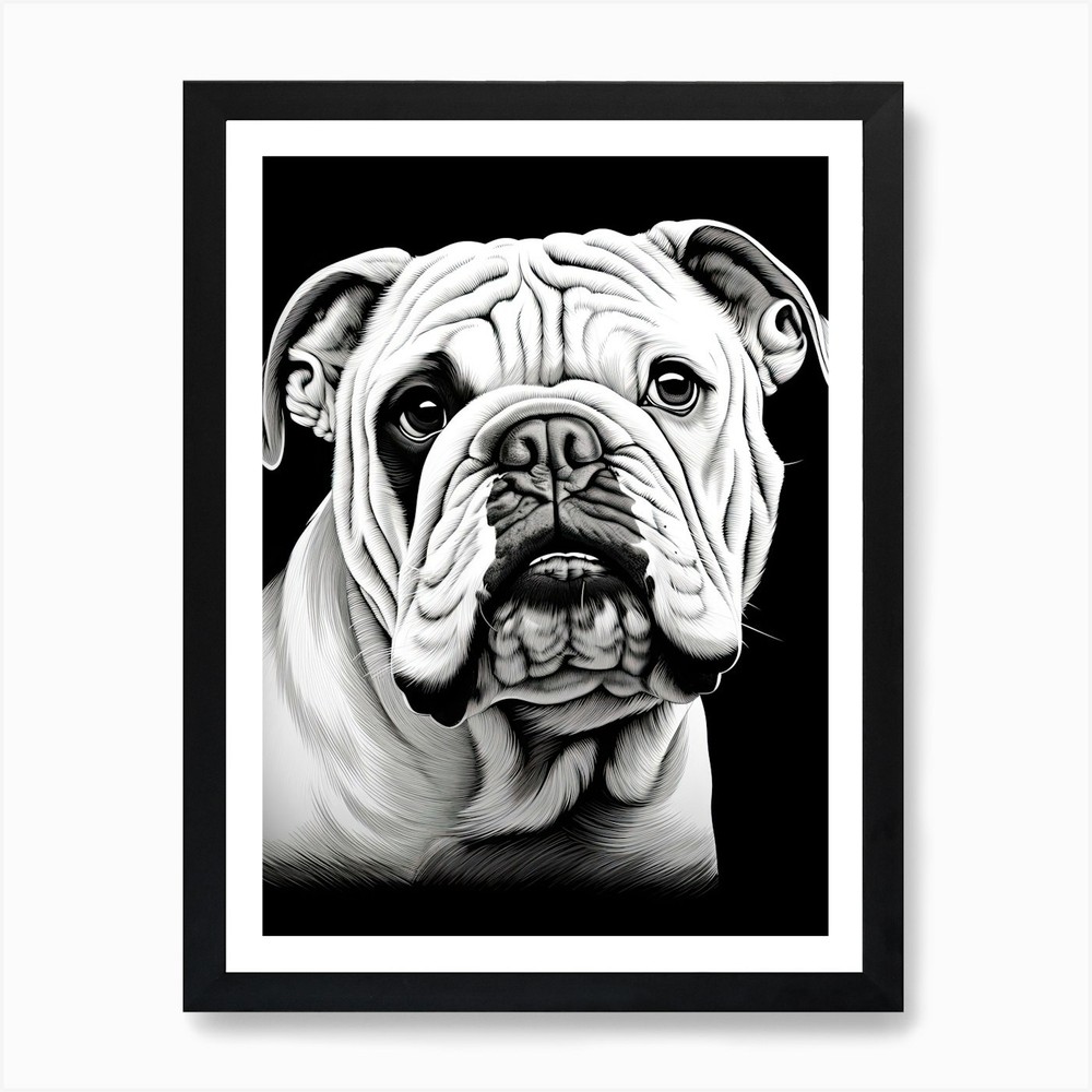 Bulldog Line Drawing Art Print Framed Wall Canvas Poster Picture