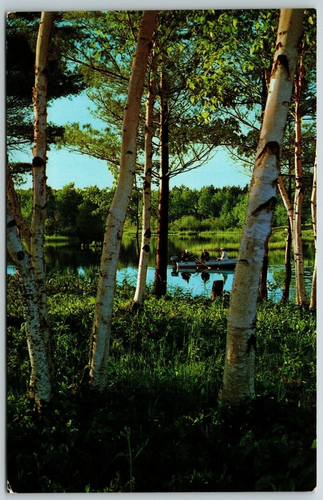 Placid Waters, Birch Lines Shores, and Good Fishing, Michigan - Postcard