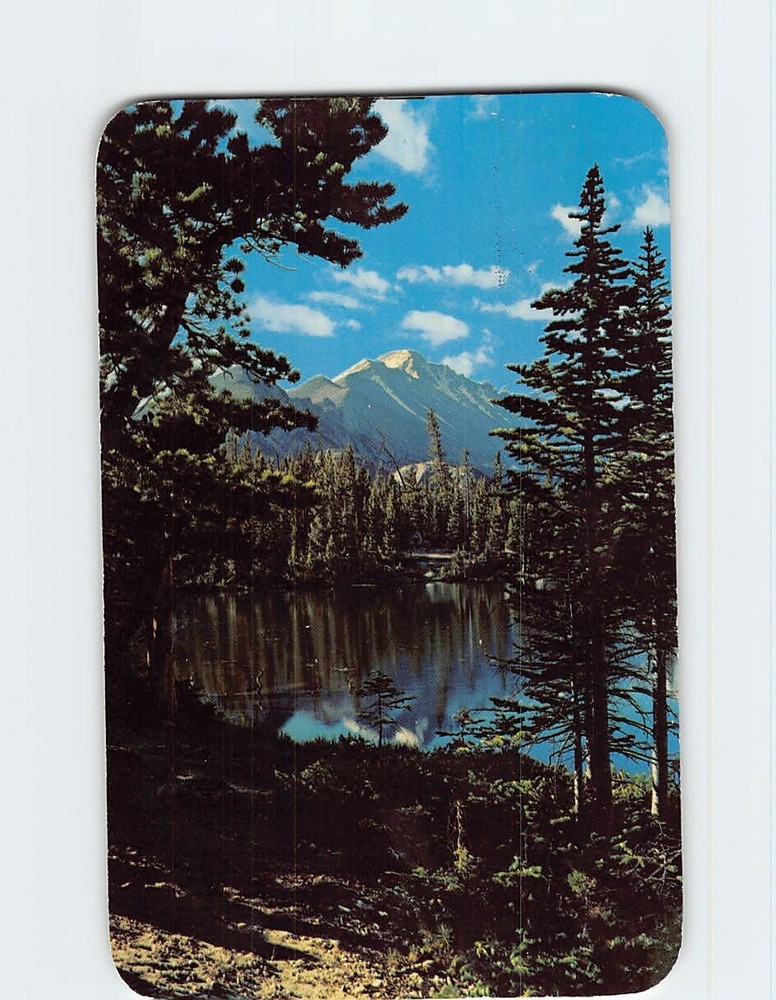 Postcard Long's Peak Vista from Nymph Lake Rocky Mountain National Park Colorado