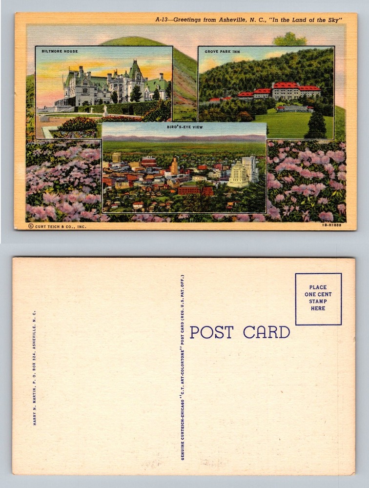 Asheville, NC-North Carolina, Biltmore Grove Park Inn City View Vintage Postcard
