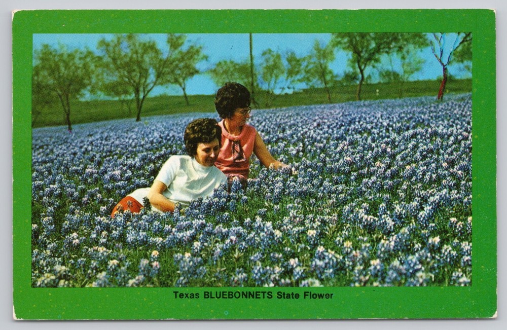 Irving Texas, Pretty Women Field of Bluebonnets State Flower, Vintage Postcard