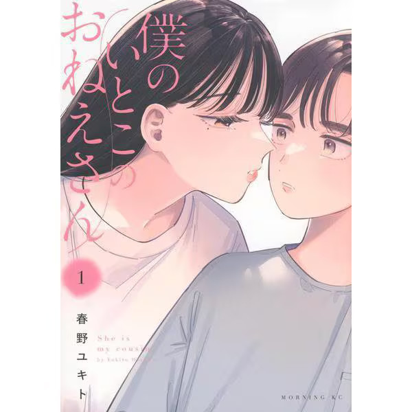 My cousin's sister Manga Paper Publication Excellent Japan Import