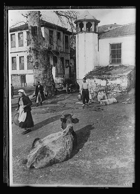 Photo:Istanbul Turkey 1910s Street Scene Mosque Minaret Ox People
