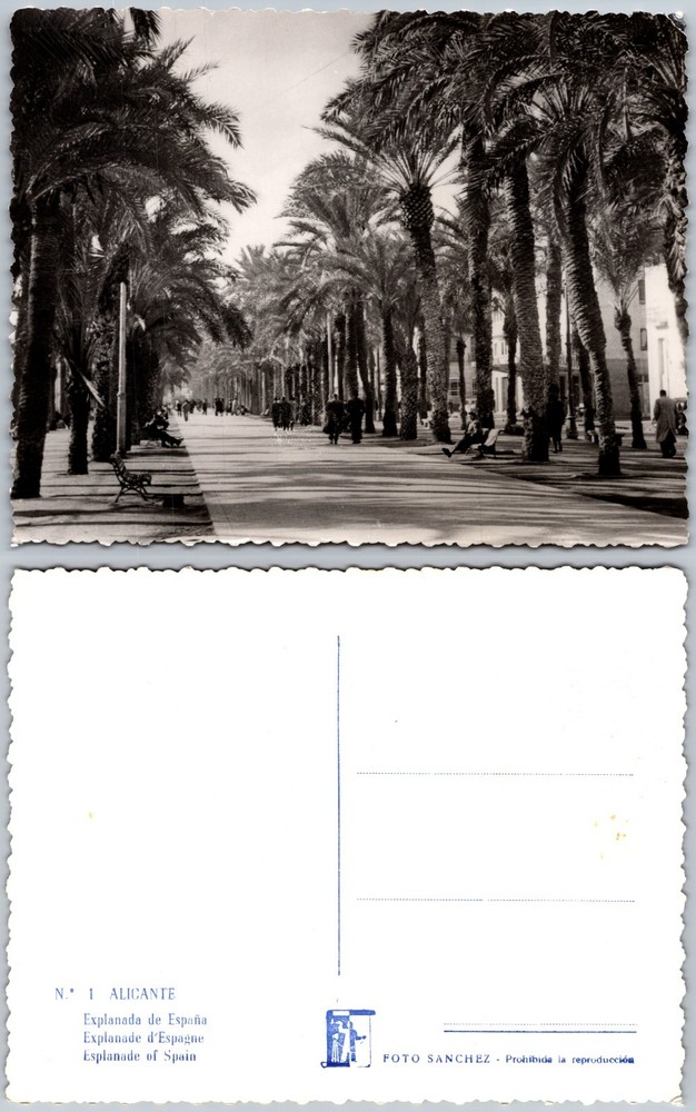 Continental Explanade of Spain Alicante Postcard