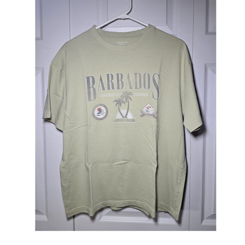 American Eagle Men's Light Green Barbados Graphic Boxy Fit Cotton T-Shirt S