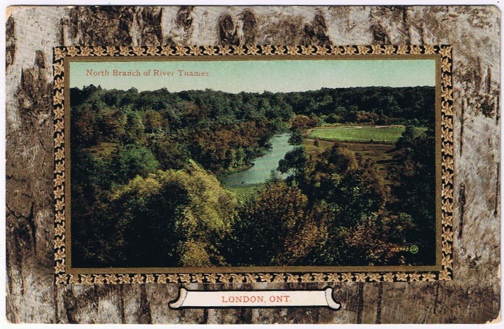 Postcard London Ontario North Branch Of River Thames