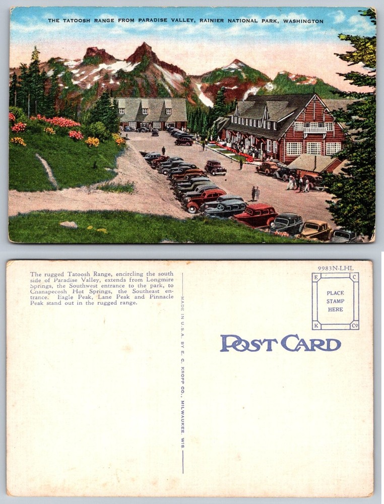 Tatoosh Range Paradise Valley Rainier National Park WA Vintage Postcard