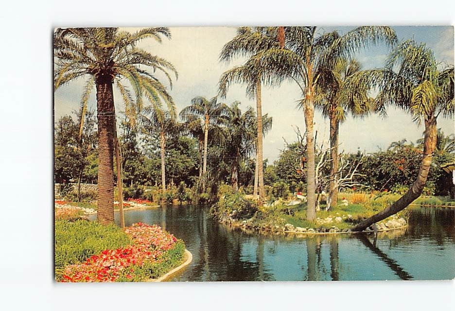 Postcard Busch Gardens Tampa Florida Island Lake USA North America