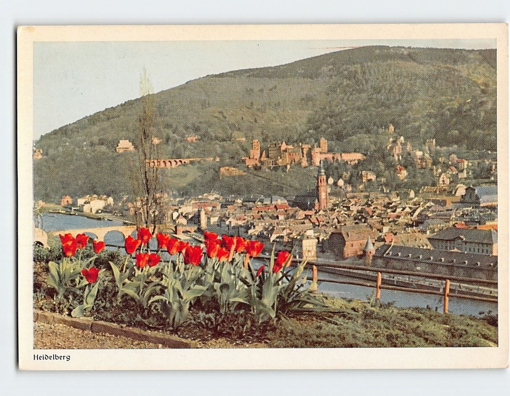 Postcard General  View Of Heidelberg Germany