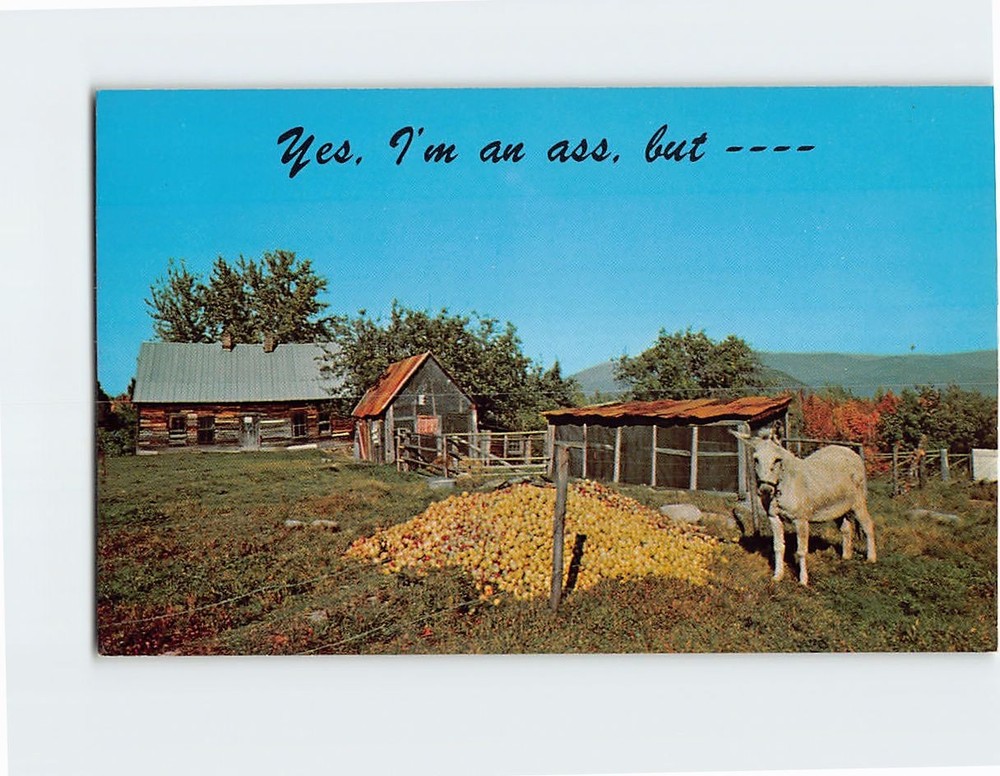 Postcard Yes Im an ass but You see I do Know my apples
