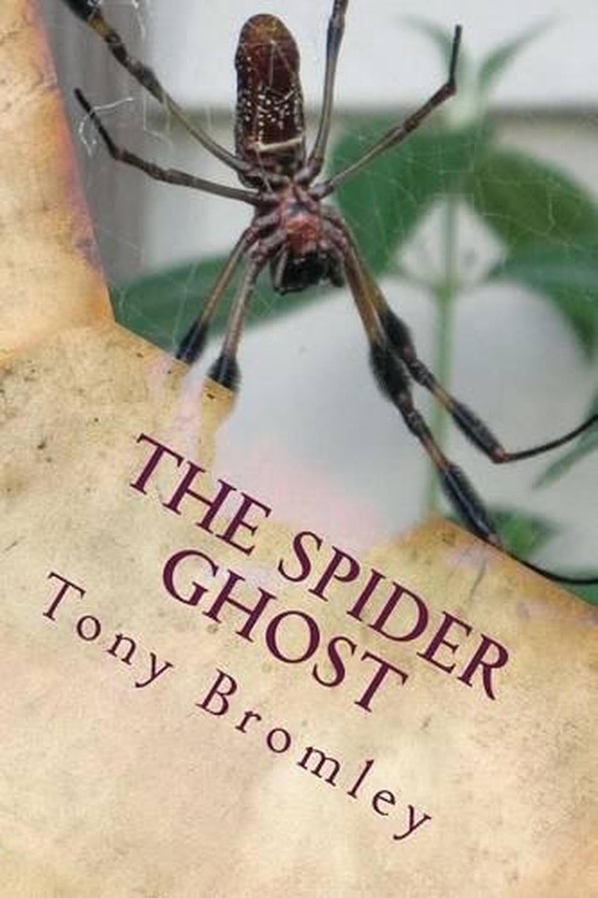 The Spider Ghost by Tony Bromley (English) Paperback Book
