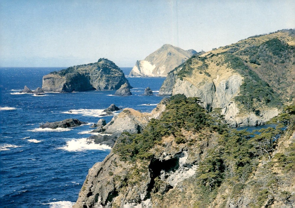 Japan Travel Company Postcard Stamp Postcard