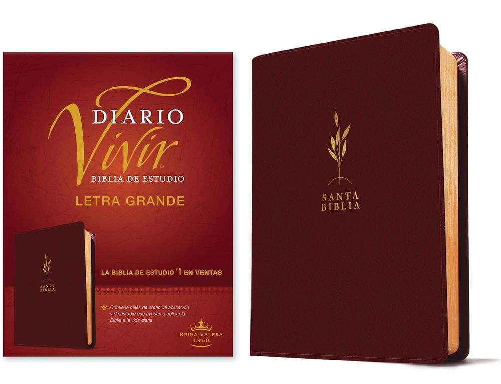 Biblia de Estudio del Diario Vivir Rvr60, Letra Grande (Sentipiel, Vino Tinto, L