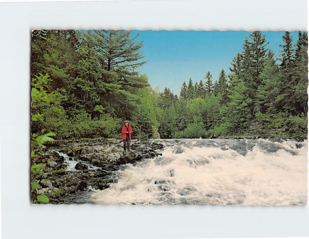 Postcard Fishing at the Stream Nature Scene