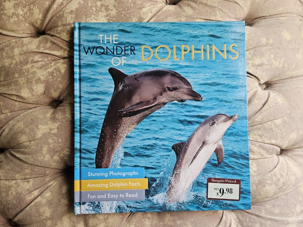 The Wonder of Dolphins