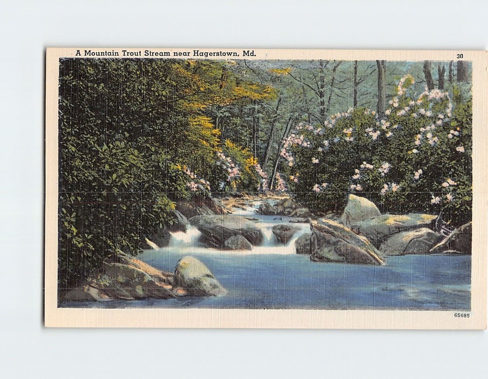 Postcard A Mountain Trout Stream Maryland USA