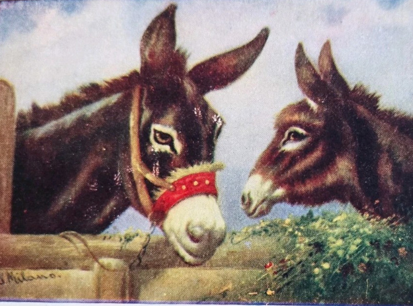 1908 Donkeys Meekness Animal Art Postcard posted Next Day Shipping