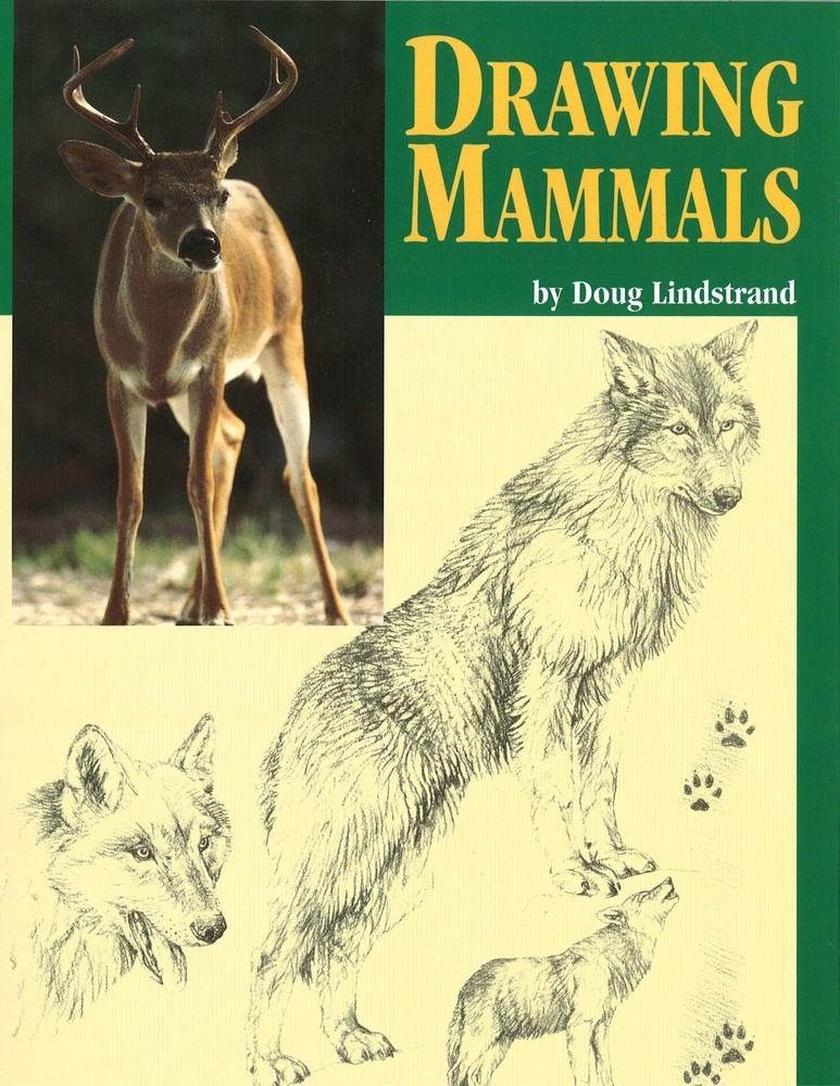 Drawing Mammals: An Artist's Reference Guide to North American Animals (Fox ...