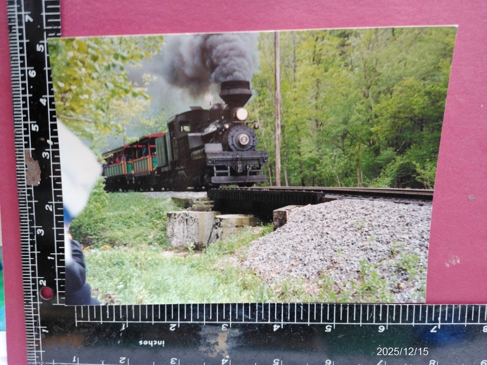 Western Maryland Railroad Company Shay Locomotive #2 Orig Photo Excursion Train