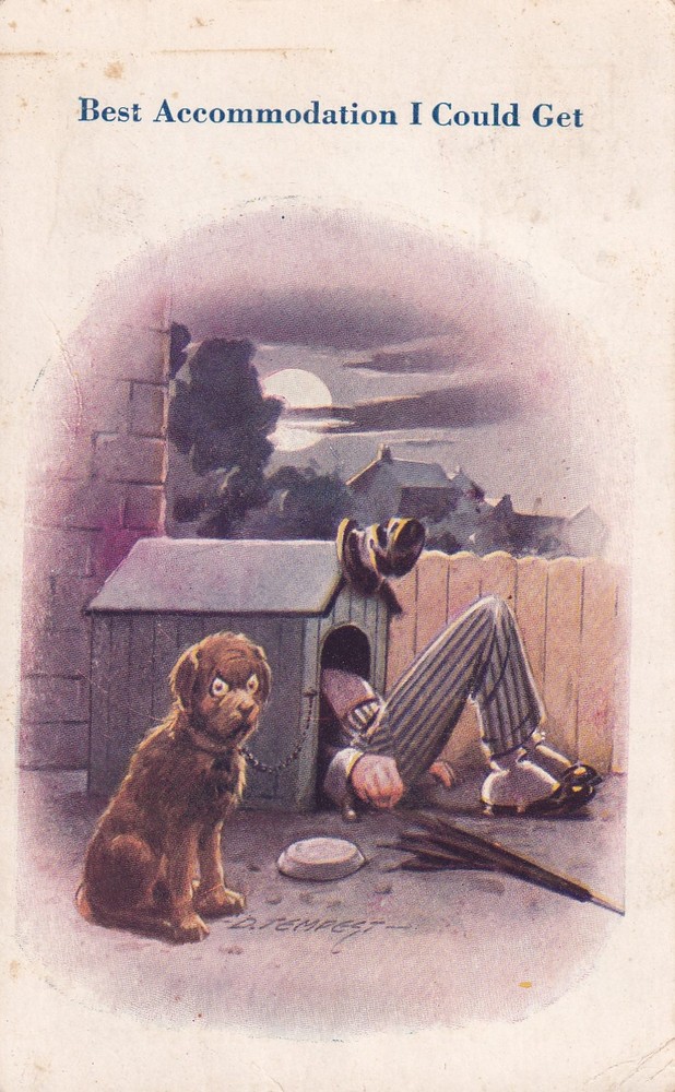 Best Accommodation I Could Get Doghouse Dog Odessa TX to Chanute KS Postcard C33-image