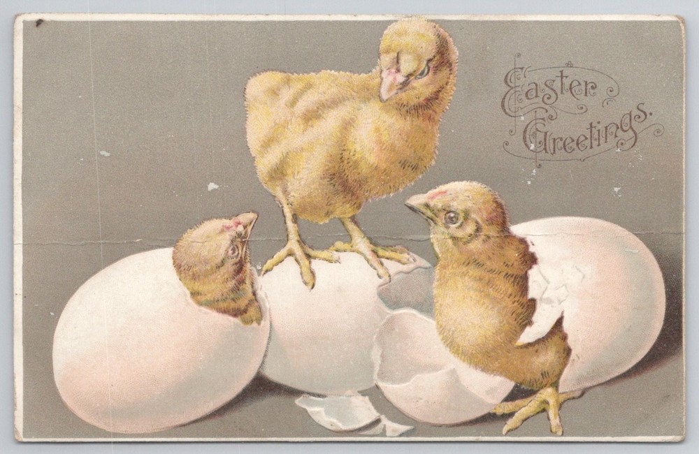 Vintage Easter Greetings Postcard Chicks Hatching Embossed Germany 1910