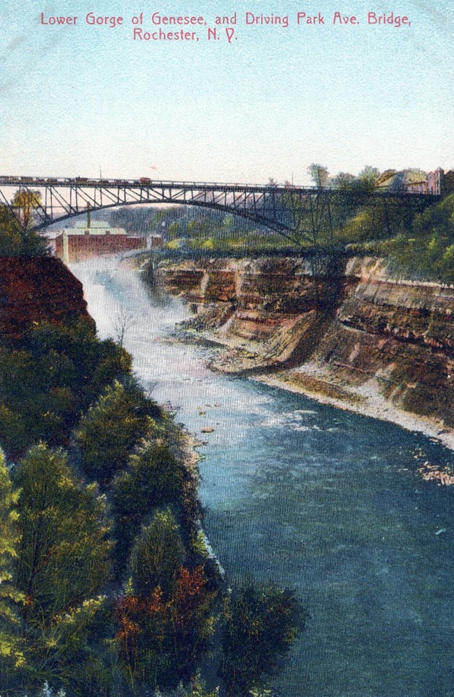 Lower Gorge of Genesee Driving Park Avenue Bridge Rochester New York Postcard