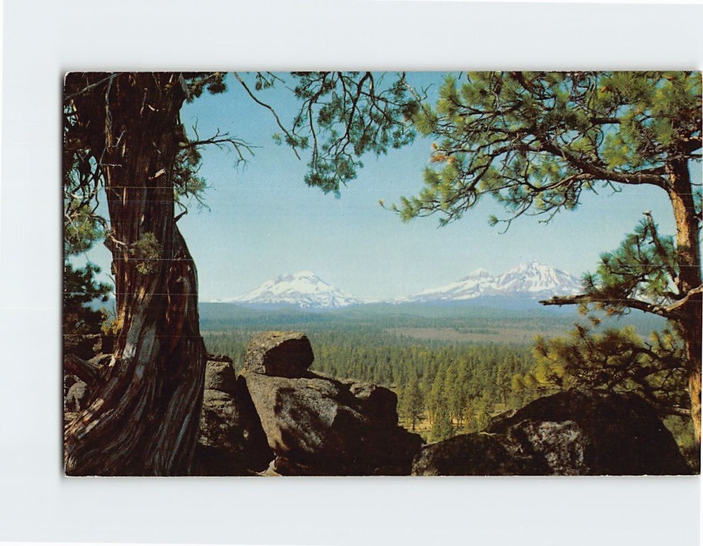Postcard Three Sisters Central Oregon USA Original