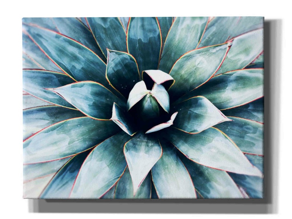 Epic Graffiti 'Tropical Star' by Irena Orlov, Giclee Canvas Wall Art