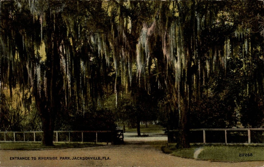 Entrance Riverside Park ~ Jacksonville Florida FL ~ Spanish Moss  c1910 postcard