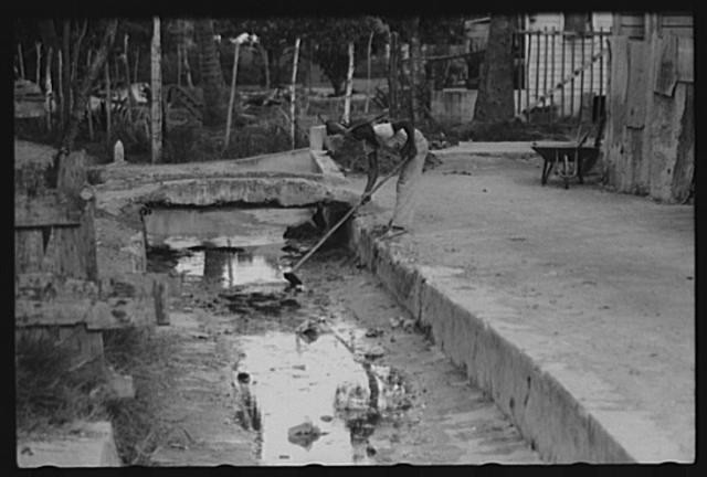 Cleaning out open sewer in Christiansted,St. Croix,Virgin Islands,1941,FSA