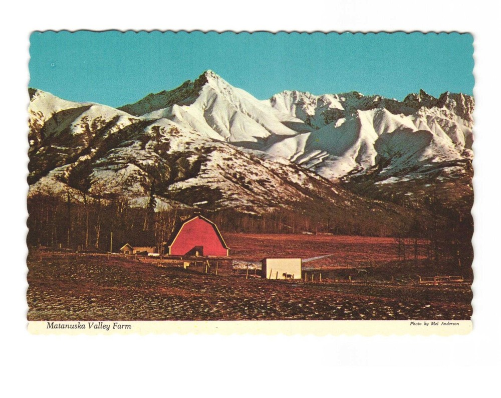 MATANUSKA Valley Farm near Palmer AK vintage postcard unposted