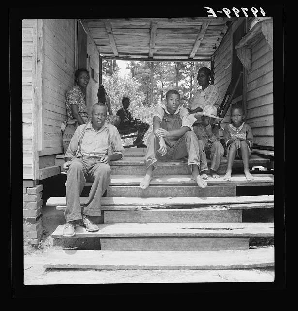 Photo:Wake County, North Carolina. July, 1939. Zollie Lyons' tobacco farm