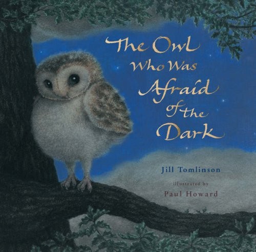 The Owl Who Was Afraid of the Dark by Tomlinson, Jill Board book Book The FastFREE US DELIVERY | ISBN: 1405221828 | Quality Books