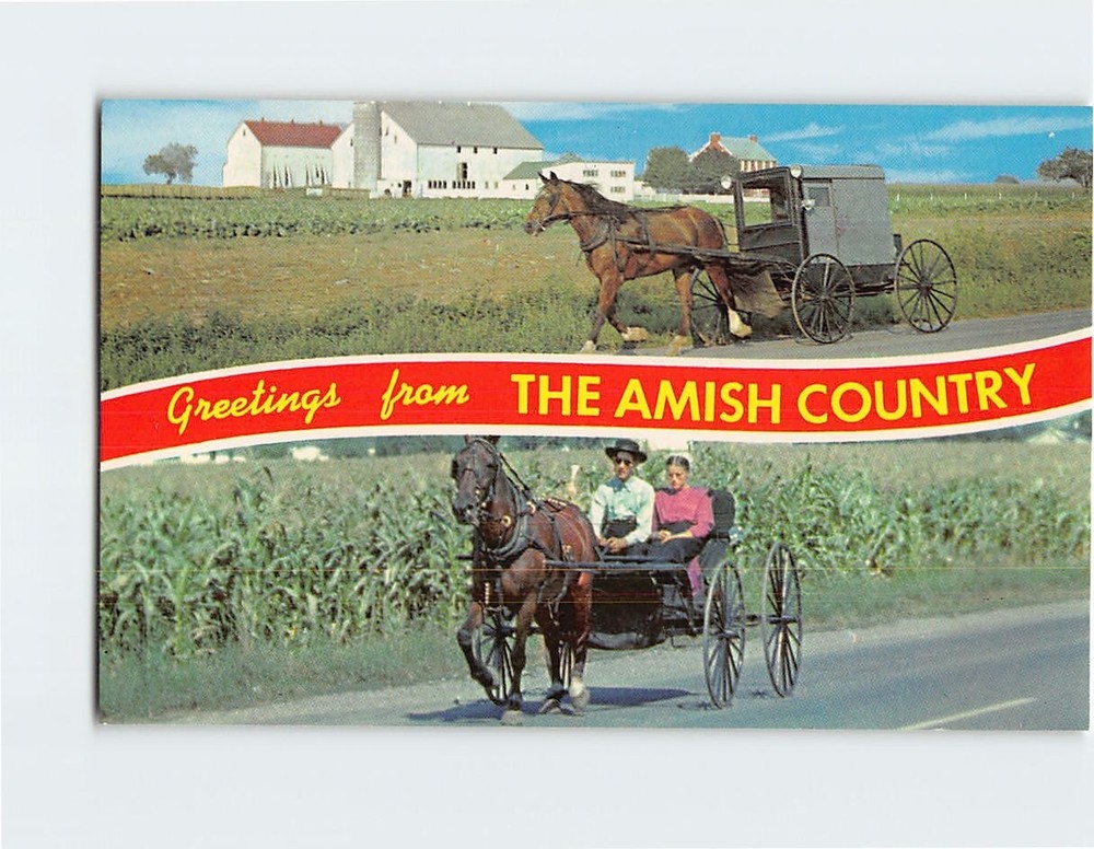 Postcard Family Carriage & Courting Buggy Greetings from The Amish Country PA