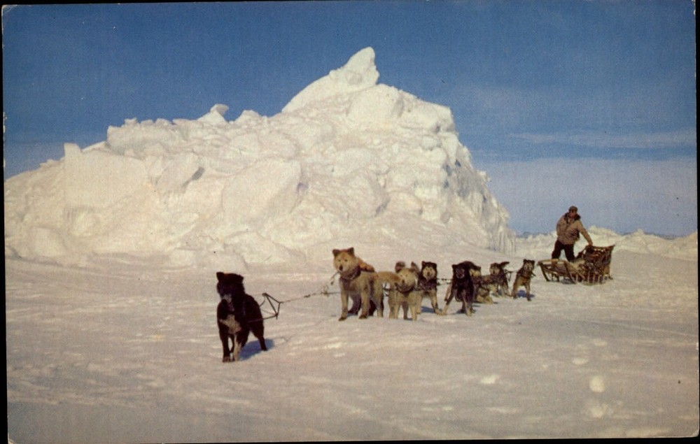 Alaska Huskies Dog Team on Arctic Ocean Ice sled mailed 1970 vintage postcard