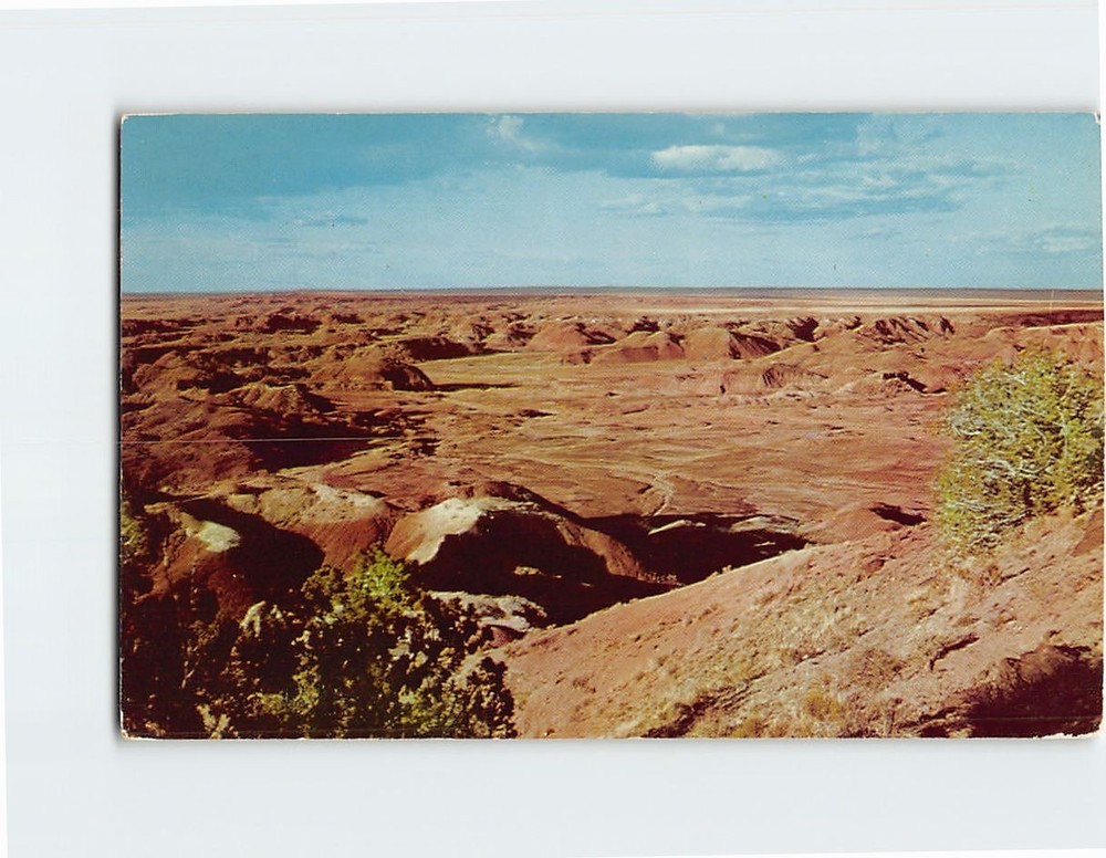 Postcard Painted Desert Arizona