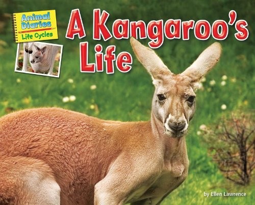 A Kangaroo's Life Library Binding Ellen LawrenceFree US Delivery | ISBN:1617724157