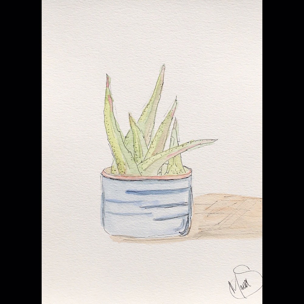 Maria Scalf Aloe Plant Home Decor ORIGINAL PAINTING Watercolor 9x12 Expression