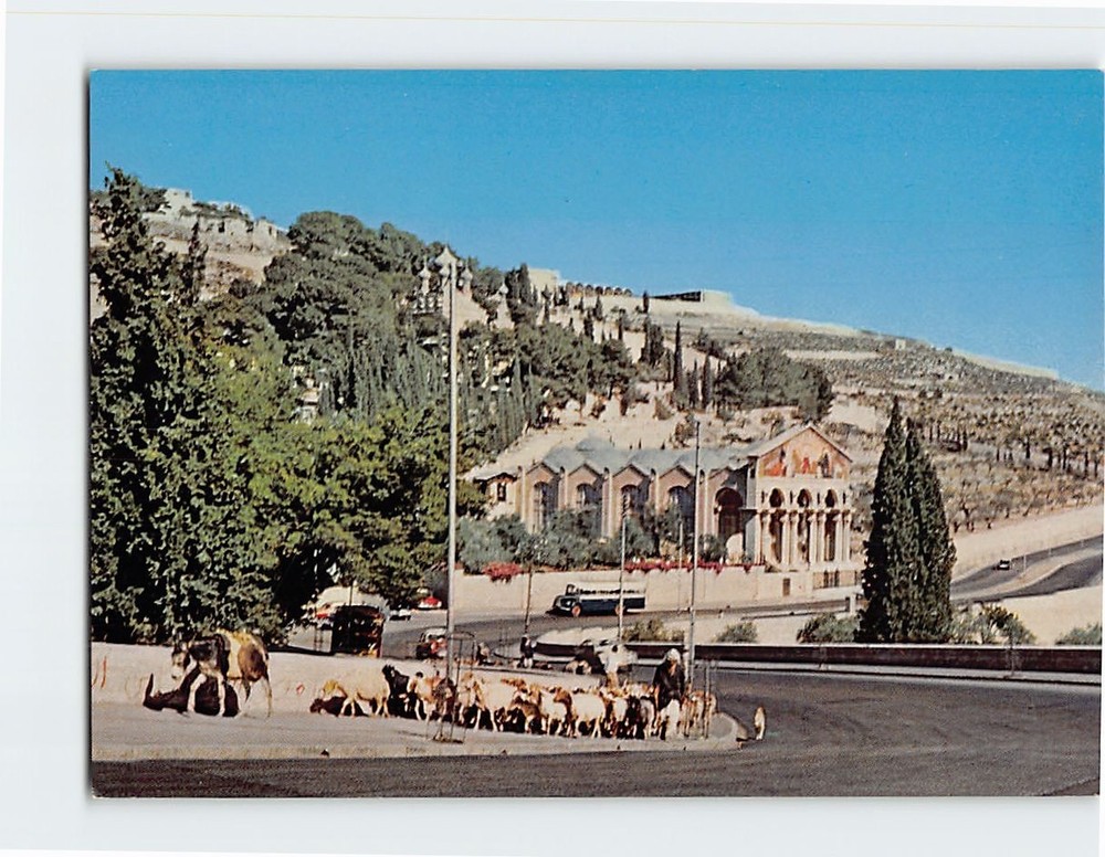 Postcard Church of All Nations Gethsemane Jerusalem Israel