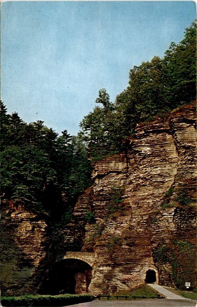 Watkins Glen, N. Y. State Park, Finger Lakes Region, New York State, Postcard