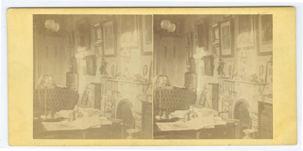 G1483~ J. MORAN –Philadelphia Dreer Library Becker Stereoscope 1860s Stereoview