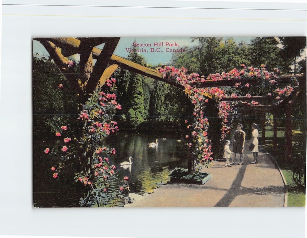 Postcard Beacon Hill Park Victoria BC Canada