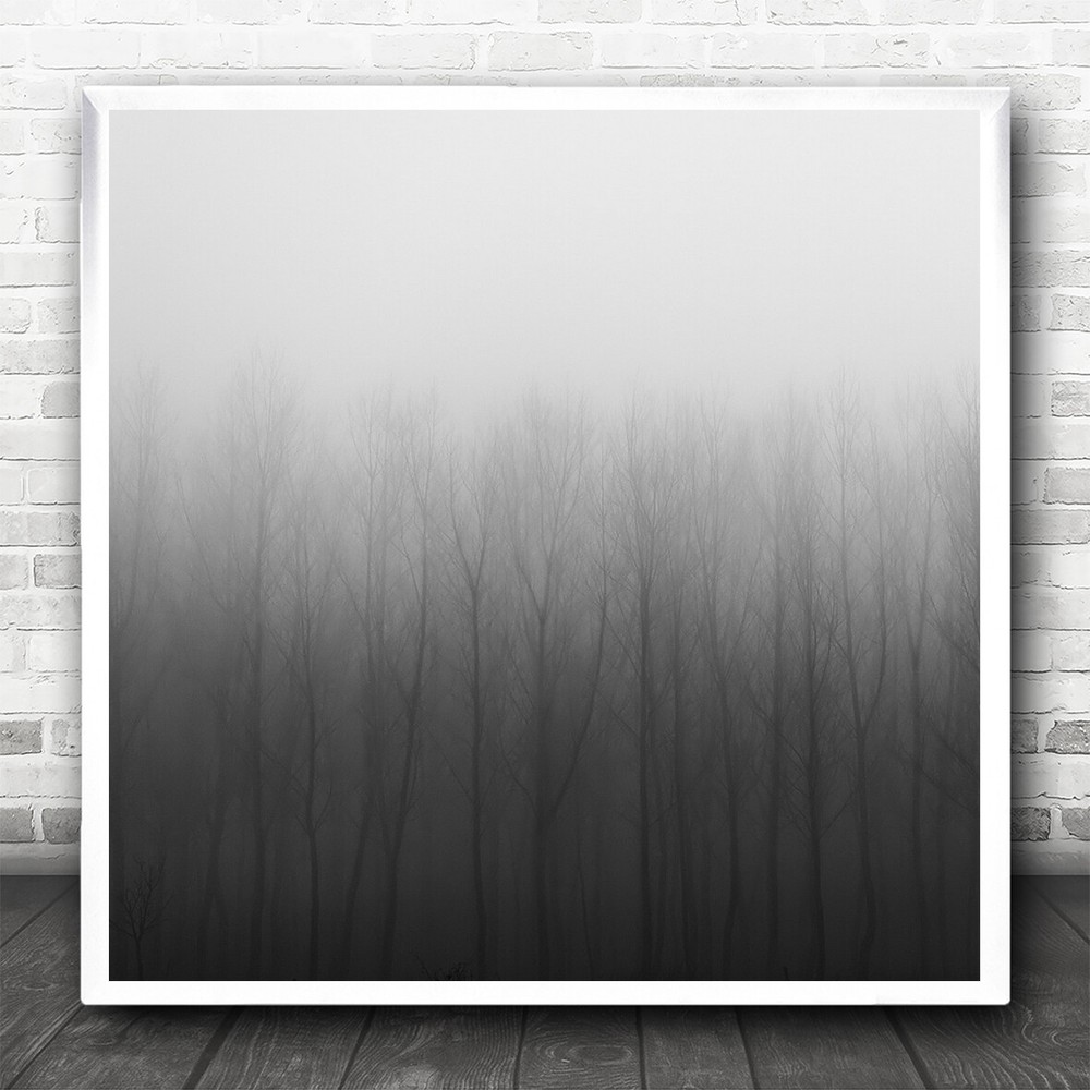 Black And White Fine Art Abstract Minimalist Trees Fog Niebla Square Art Print