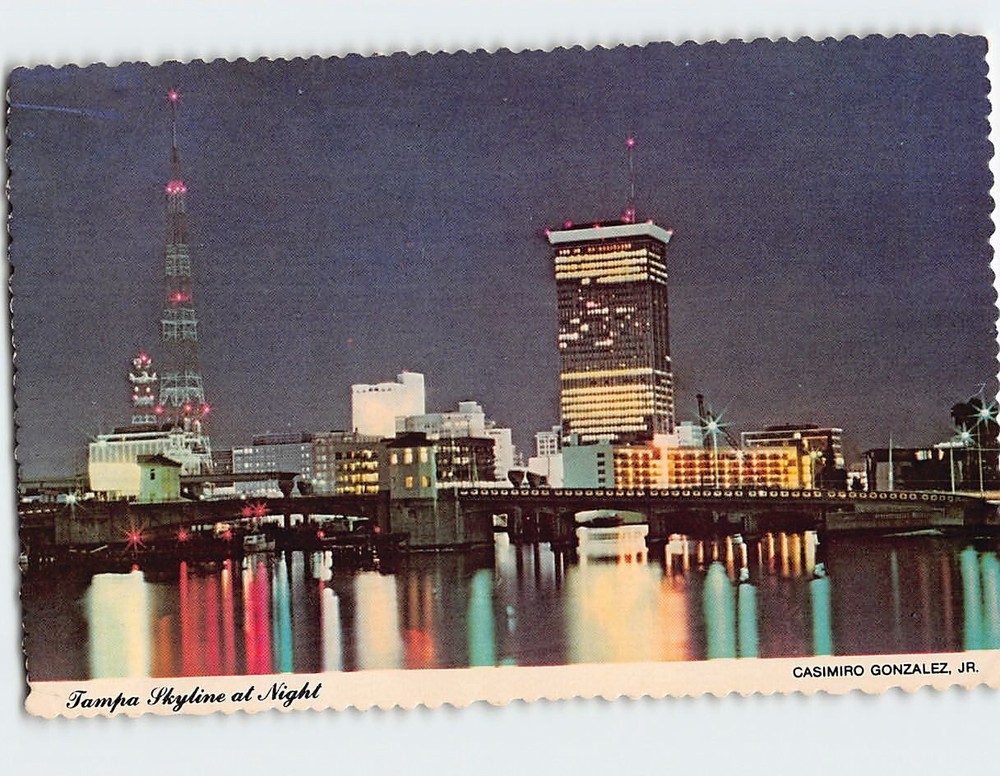 Postcard City Skyline at Night Tampa Florida USA