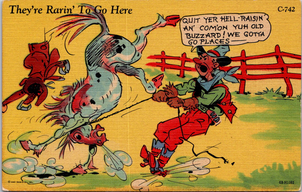 Vintage Postcard Cowboy Trying To Control Bucking Horse ComicFunny Humor
