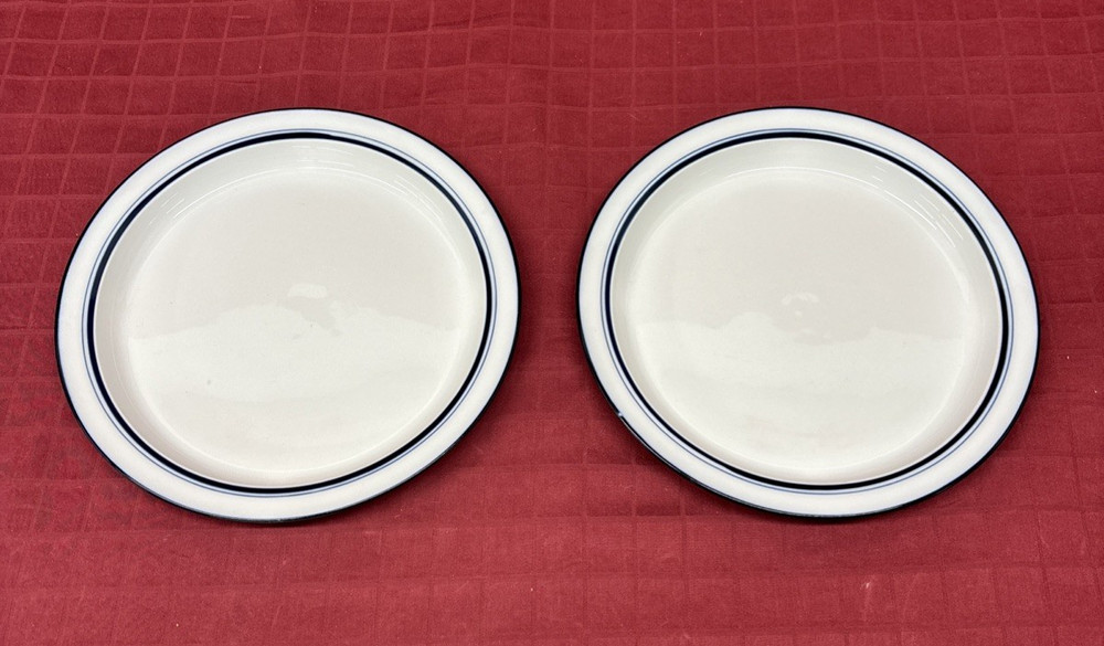 Dansk Bistro CHRISTIANSHAVN Blue Stripe White 8.75
