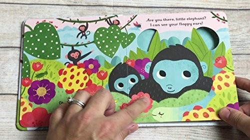 Little Peek Through Book - Are You There..., Sam Taplin